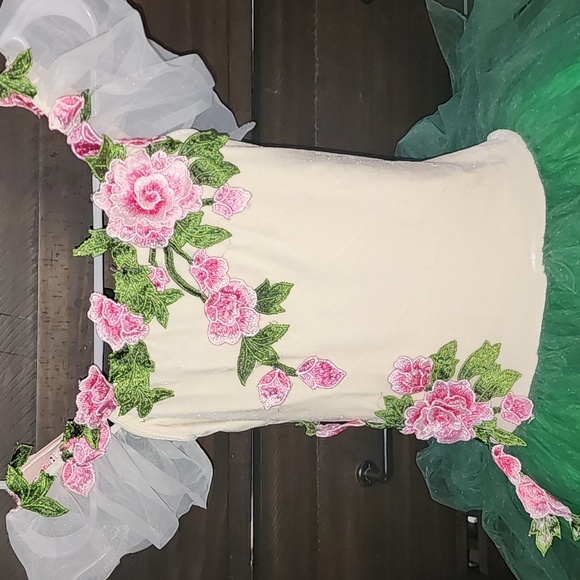 Beautiful ballet costume only worn 3 times, adult small. - Picture 2 of 3